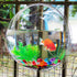 Wall Mounted Acrylic Fish Bowl, 7 Inch Clear Hanging Flower Pot Vase Decoration for Aquarium Plant Wall Decor