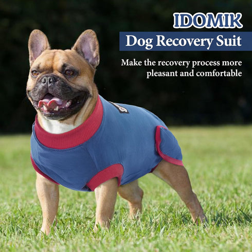 IDOMIK Dog Recovery Suit for Female Spay - Adjustable Anti-Licking Onesie, Soft Wound Bandage & E-Collar Alternative