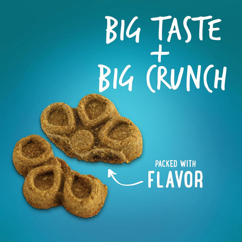 Fruitables Biggies Dog Biscuits, 16 oz – Crunchy Treats with Pumpkin, Real Fruit Flavor, Wheat, Corn & Soy Free
