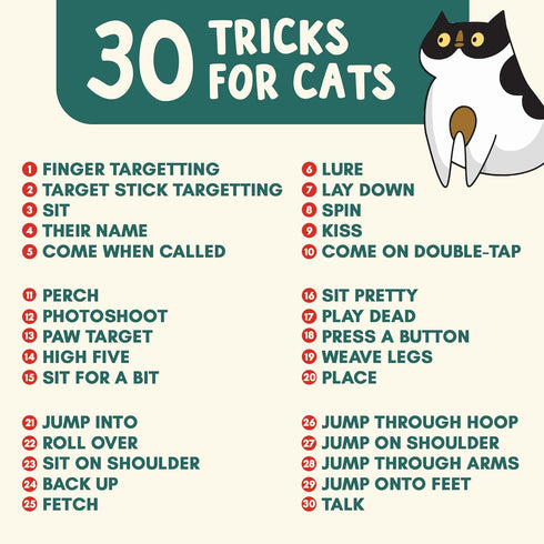 Communication OutdoorBengal The Click Crusade Cat Clicker Training Card Game for Pet Training with Clicker - Train Cats