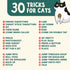 Communication OutdoorBengal The Click Crusade Cat Clicker Training Card Game for Pet Training with Clicker - Train Cats