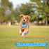 Durable Dog Chew Toy for Aggressive Chewers - Rubber Teething Bone