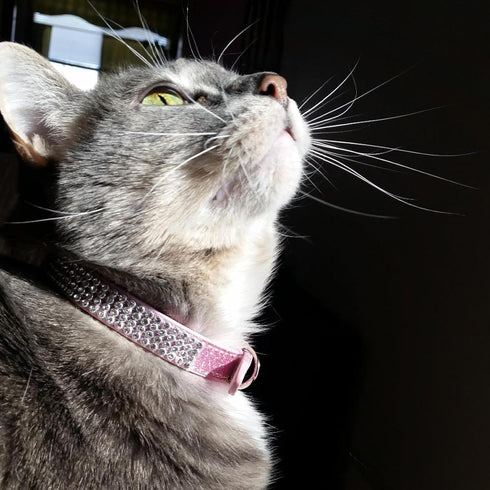 PUPTECK Basic Adjustable Cat Collar with Bling Diamond and Double Bells, for Kitten and Small Puppy, Pink, 10-13 in