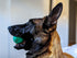 Chew King Dog Fetch Balls for All Breed Sizes