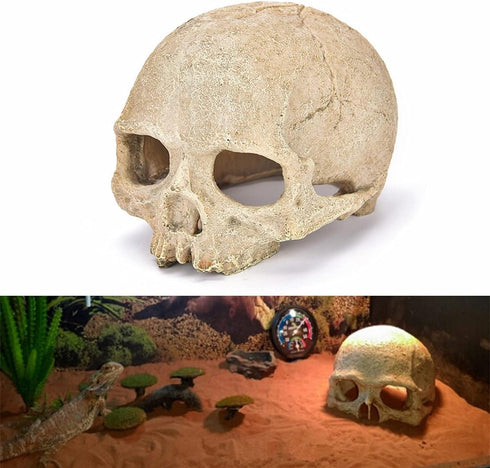Desert Reptile Decor Skull Fish Tank Decorations, Bearded Dragon Accessories, Desert Reptile Decor, Bearded Dragon