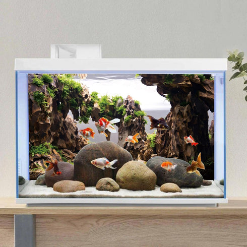AWERT 30x18 inches Viewing Stone Fish Tank Background, Aquatic Plant River Bed & Lake Vinyl Background