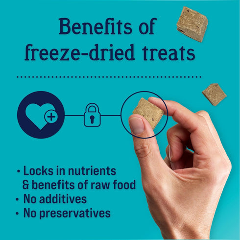 Stewart Freeze Dried Dog Treats, Beef Liver, 2 oz, Grain Free & Gluten Free, Resealable Pouch