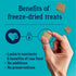 Stewart Freeze Dried Dog Treats, Beef Liver, 2 oz, Grain Free & Gluten Free, Resealable Pouch