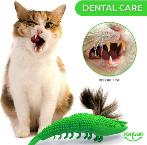 Ronton Cat Toothbrush - Durable Hard Rubber Dental Care, Interactive Chew Toy for Cats (1 Pack Green, Shrimp)
