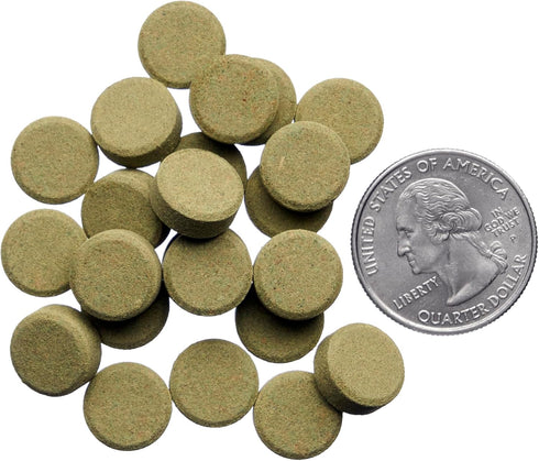 Plecoceramics Algae Wafers - Universal Fish Food for Most Aquarium Fish, Turtle, Goldfish, Catfish, Protein Wafers