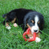 SmartPetLove Snuggle Puppy Teething Toys, Naturally Soothe with Ice, Heart Shaped