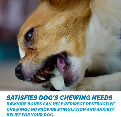 Dog Rawhide Chews Bones for Small Dogs 2-3" Inches (50 Count) | 100% Natural USA Made from Grass Fed Cattle | Premium