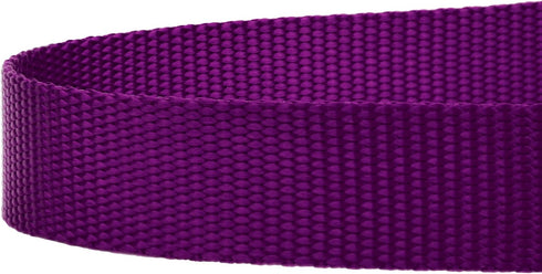Country Brook Petz 1 Inch Nylon Dog Leash, Traditional Style, Purple, 6 Foot