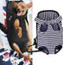 Adjustable Pet Carrier Backpack for Cats and Dogs, Travel Bag for Hiking, Legs Out Design, Blue White Stripes, Large