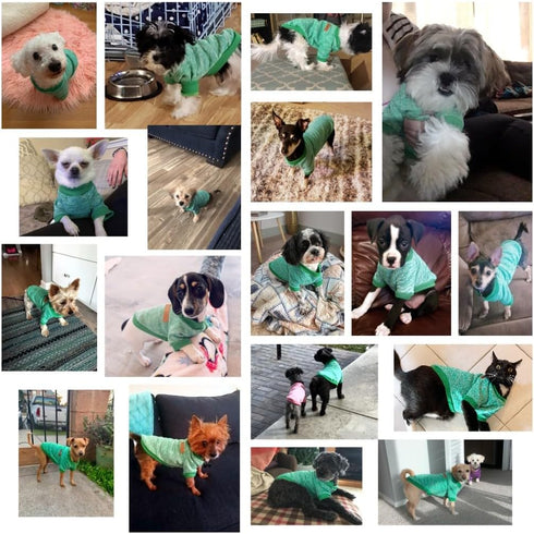 Pet Dog Classic Knitwear Sweater - Warm Winter Puppy Pet Coat, Soft Sweater Clothing for Small Dogs (XXS, Green)