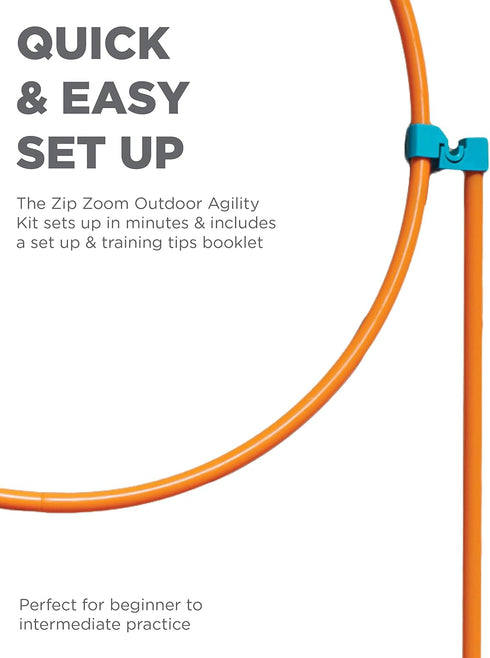 Set Interactive Outdoor Dog Agility Training for Active Pups