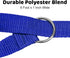 Downtown Pet Supply - 6ft Dog Kennel Slip Lead Leash - Veterinarian, Grooming, Daycare & Animal Rescue Supplies - One