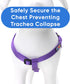 Pawtitas Purple Solid Color Step in Dog Harness, Extra Small Vest Harness for Puppy Training and Walking