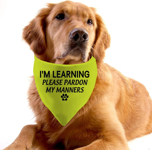 1 Piece Dog Bandana, "I'm Learning Please Pardon My Manners" Scarf for Rescue Dogs, Give Space Design