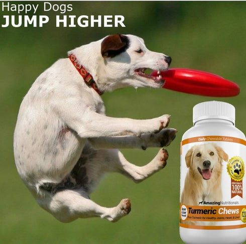 Amazing Nutritionals Inflammation, 120 Amazing Turmeric for Dogs Curcumin Pet Antioxidant, Eliminates Joint Pain Chews