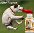 Amazing Nutritionals Inflammation, 120 Amazing Turmeric for Dogs Curcumin Pet Antioxidant, Eliminates Joint Pain Chews