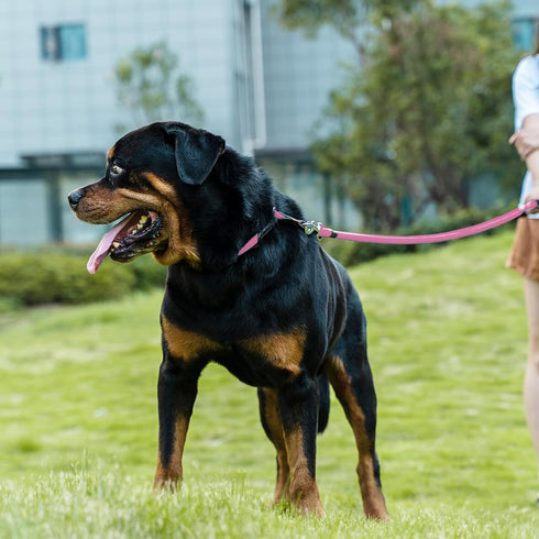 Braided Rope Dog Leash, Traction Walking Training Lead for Medium/Large Dogs (1/2", 2FT, Pink)