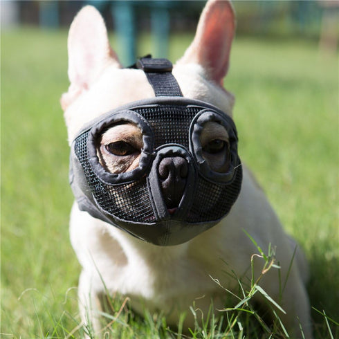 Short Snout Dog Muzzles - Adjustable Breathable Mesh Bulldog Muzzle for Training Grooming, Grey (Large/15-25")