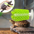 4 Pack Turtle Brush with Suction Cup for Tank, Turtle Shell Cleaning Brush, Turtle Scrub Brush Tortoise Supplies