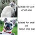 Handmade Knitted Dog Bandana, Cute Cat Costume, Dog Costume for Small Dogs, Easter Rabbit Outfit, Holiday Photo Prop