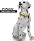 Designer Dog Cuban Link Chain Collar - Gold Chain with Safety Design Buckle 15MM Metal Stainless Steel (22")