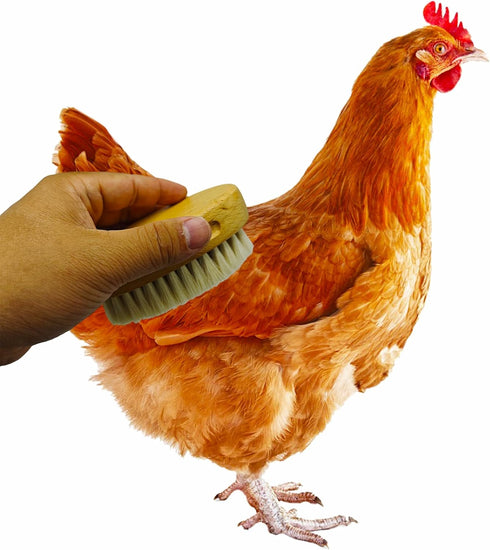 Generic Chicken Feather Brush Extra Soft Brush for Pet Hen Chicken Care Grooming