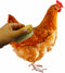 Generic Chicken Feather Brush Extra Soft Brush for Pet Hen Chicken Care Grooming