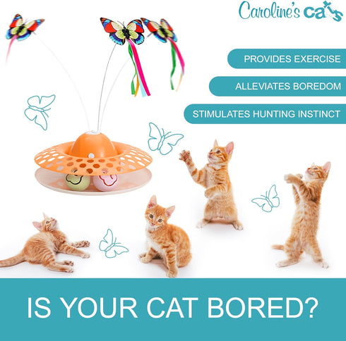 2 1 Recommended Caroline's Cats Automatic Butterfly Cat Toy Interactive in with Auto Shut Off & Catnip Ball Track;