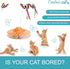 2 1 Recommended Caroline's Cats Automatic Butterfly Cat Toy Interactive in with Auto Shut Off & Catnip Ball Track;