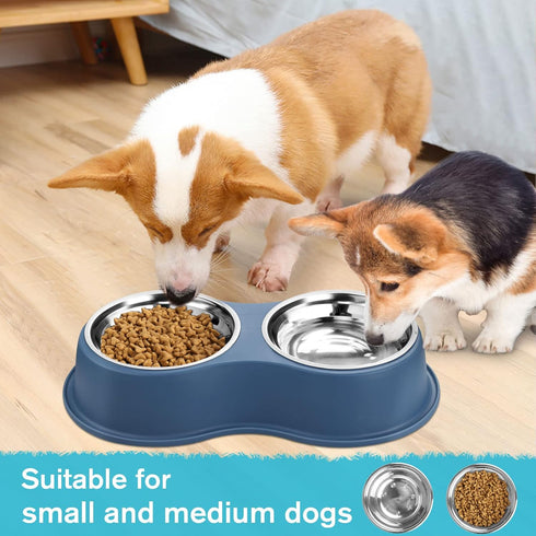 Double Dog Bowls, Stainless Steel Water and Food Bowls with Non-Slip Resin Station for Medium Dogs and Cats