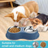 Double Dog Bowls, Stainless Steel Water and Food Bowls with Non-Slip Resin Station for Medium Dogs and Cats