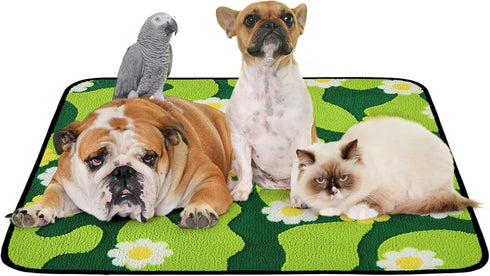 Qeils Reusable Puppy Pads for Small Dogs, Washable Pee Pads with Non-Slip