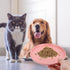 Dog Cat Food Dish Shallow Pet Dish Bowl Ceramic Puppy Feeding Plate Kitten Cat Food Dispenser Pink Pet Animal Water Food Bowl