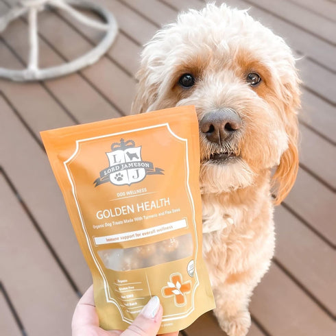 Golden Health Organic Dog Treats, Organic Dog Treats Made with Tumeric and Flax Seed, 6 oz Bag
