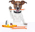 Double Headed Pet Dog Toothbrush for Small Dogs, Soft Bristles Long Handle for Teeth Cleaning, Bulk Toothbrushes