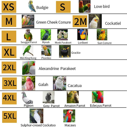 Parrot Neck Collar, Anti-bite Protective Neck Cover for Birds, Feather Healing (S)