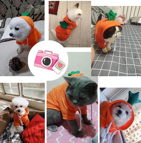 XIAOYU Pet Clothes Dog Hoodies, Warm Sweatshirt Coat for Puppy Autumn Winter Apparel, Carrot, M