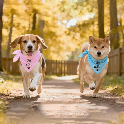 2 Packs Big Sister and Big Brother Pet Dog Bandana, Triangle Scarf for Small Medium Large Dogs, Baby Announcement