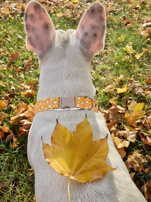 Lionet Paws Halloween Dog Collar with Bowtie - Adjustable Cute Cotton Fall Collar with Metal Buckle for Small Medium