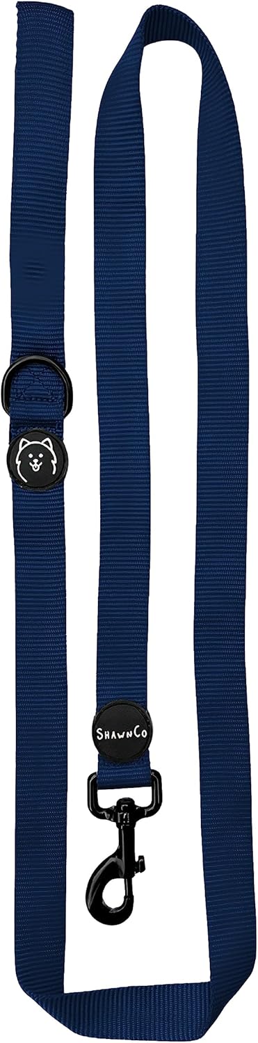 Premium Nylon Pet Leash with Soft Neoprene Handle, ShawnCo Dream Walk Dog Leash (Pacific Blue, Medium/Large)