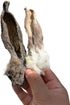 Dehydrated Rabbit Ears for Dogs & Cats - Healthy Whole Rabbit Ears with Fur, Rawhide Alternative, Pack of 6