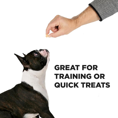 Hive Dog Training Treats — Healthy, Non-GMO, Natural Peanut Butter Flavored, Grain Free Dog Treats Made in The USA