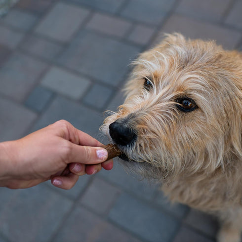 Loving Pets Natural Value Duck Sausages - Soft Jerky Dog Treats for Large & Small Breeds - Healthy Gluten, Wheat, Soy
