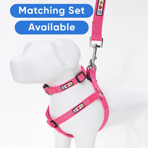 Pawtitas 6 FT Dog Leash - Comfortable Handle, Heavy Duty Training Leash