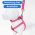 Pawtitas 6 FT Dog Leash - Comfortable Handle, Heavy Duty Training Leash